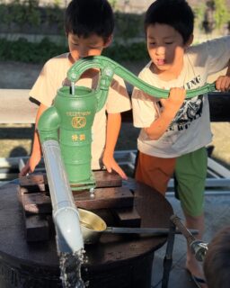 井戸

お寺に入った時からあった井戸ですが、ポンプがついていなくて、災害時に使えるようにしたいと思い続けて10年。
今年、ついにポンプを設置して水が出るようになりました🙌
夏場は水道水はびっくりするくらい熱いですが、井戸水は冷たくて気持ちいい☺️

災害時には大いに活躍してくれると期待します🙏

#願應寺
#お寺
#稲沢市
#浄土真宗
#真宗大谷派
#境内の風景 
#井戸寺 
#災害対策グッズ
#南海トラフ地震に備えて 
#地域のためにできること