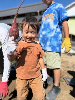 芋掘り🍠

実は今年から畑を始めました！

あれ？前からやってたんじゃないの？
と思われる方もいらっしゃるかと思いますが、
今まではご厚意で御門徒さんが植えてくださったものを収穫だけするという、いいとこ取りの畑体験をさせて頂いておりました🙏

今年からは雑草を抜き、堆肥を撒き、お借りした耕運機もかけて一からやってみました。

やってみて思ったこと
野菜作りって想像以上に大変です💦
この何十倍、何百倍もの広さで農業をやられている農家さんへの感謝が爆増いたしました🙏

必要な分だけお店で買って直ぐ調理できる
なんて便利で簡単な世の中✨

その裏でどれだけの手間と時間とお金がかかっているのか…

しかも、夏は本当にしんどいです😓

私は夏の間は途中から中断してしまいました🙇‍♀️
そんなこと農家さんは許されるませんよね💦

全国の農家さん
本当にありがとうございます🙏

微力ながら細々と畑続けていきたいと思います🙌

#願應寺
#お寺
#稲沢市
#浄土真宗
#真宗大谷派
#親鸞聖人
#畑のある暮らしを楽しむ 
#農家さんありがとうございます 
#いもほり🍠