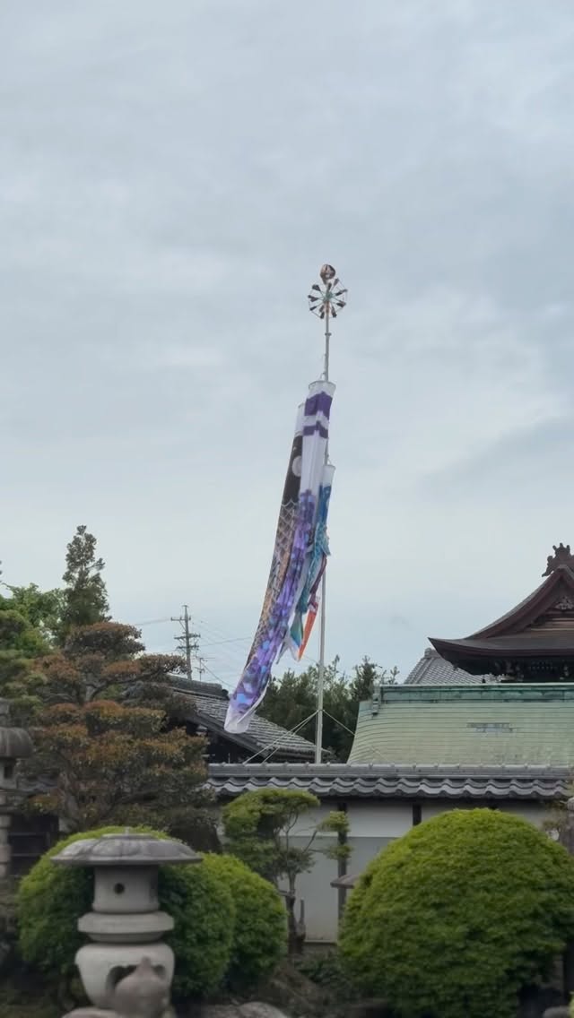 鯉のぼり🎏

花まつり🌸は鯉のぼりでお出迎え🎏

泳いでいないので分かりにくいですが
6匹います💦

#鯉のぼり🎏 
#花まつり 
#願應寺 
#浄土真宗 
#お釈迦さまの誕生日